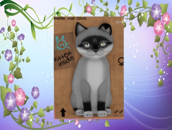 KittyCatS Box/Foxie - Salt & Pepper Mask