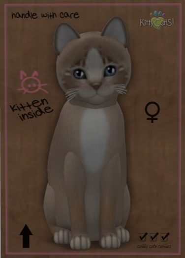 KittyCats Box - 2T F Mocha II Tapestry