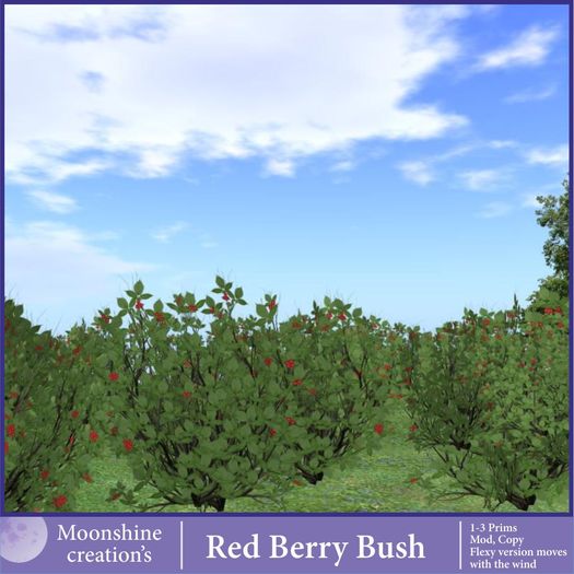 Red Berry Bush
