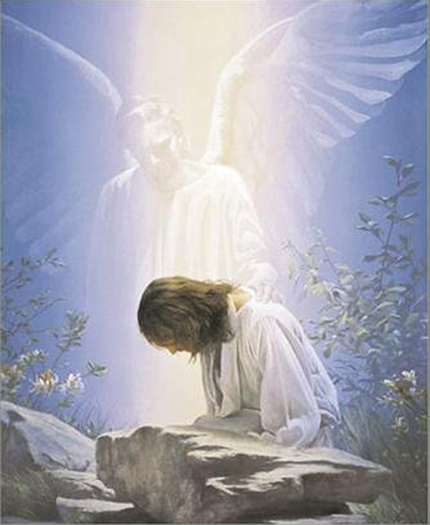 Thy Will Be Done Picture