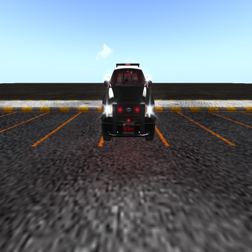 Fleet Police car