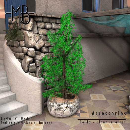 -MB- BOX ACCESSORIES - Poldo Plant in a pot