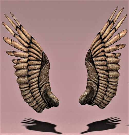 Vakyrie Designed - Leather Centaur Wings Applier Box