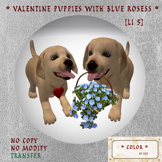 Valentine Puppies with Blue Roses