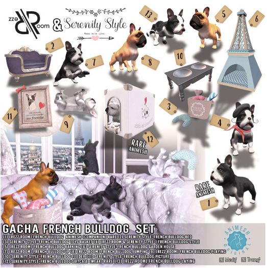 Serenity Style- Box French Bulldog Suitcase RARE