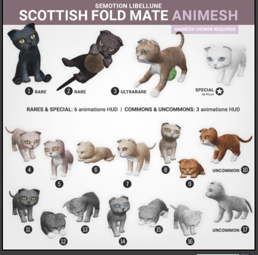 SEmotion Libellune Scottish Fold Mate Animesh #2 RARE