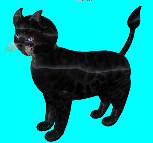 KittyCatS Box - New Born Kitten