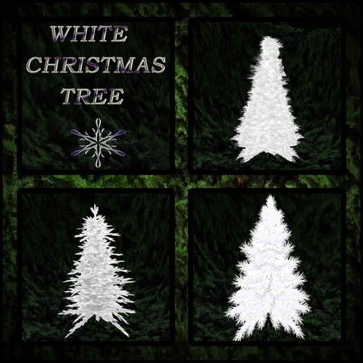 WINTER TREES CHRISTMAS WHITE BOX 01