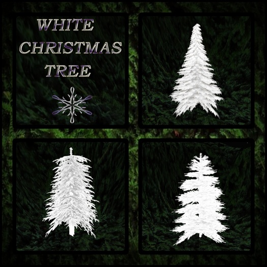 WINTER TREES CHRISTMAS WHITE BOX 02