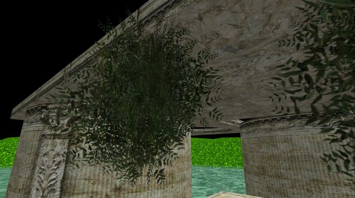 Hanging Moss