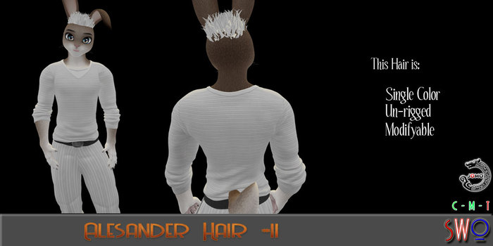 SWO Hair #11 - Alesander