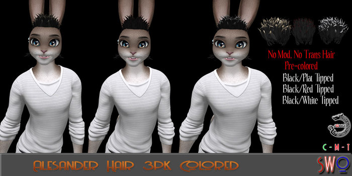 SWO Alesander Colored Hair Set