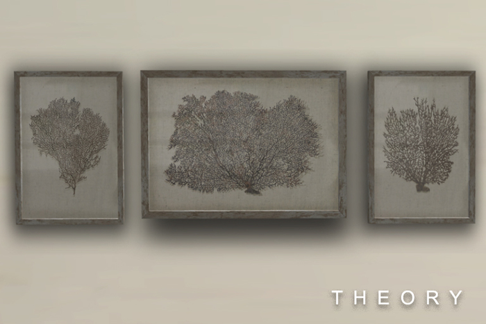 THEORY - Framed SeaFan Coral