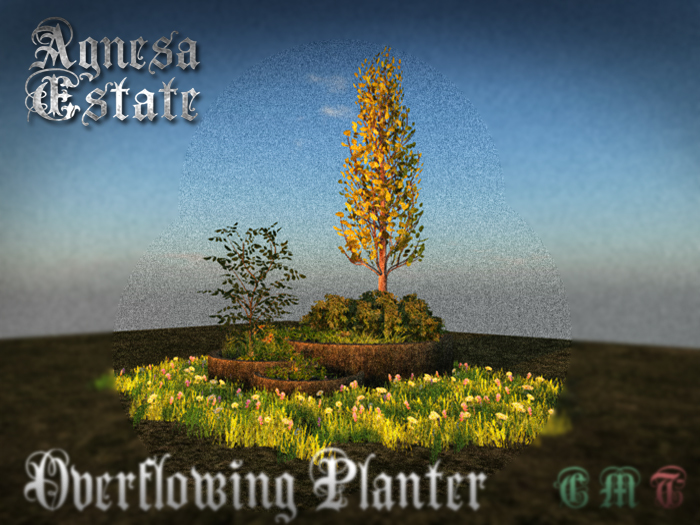 Agnesa Estate - Overflowing Planter