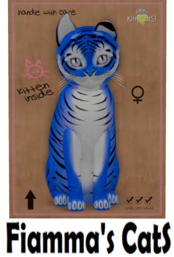 KittyCatS Box - Tiger! - Huckleberry