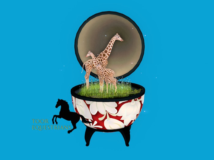 3rd Eye_Ark 11 Giraffes Music Box COMMON