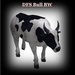 Dfs bull bw