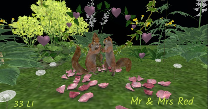ImagiNits Mr & Mrs Red (box)