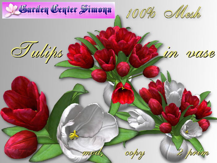 Tulip  in white vase_002TVB_6