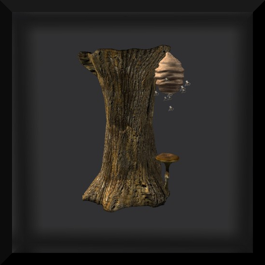 {Papillon} [Boxed] 1-Month 20-Meter Starter Accessory