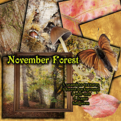 ~TJ~  November Forest - Realistic Seamless Fall Textures