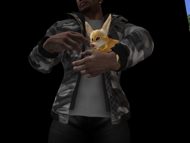 animesh fennec hold in hand  red