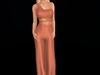 Snapshot 001 013 009
