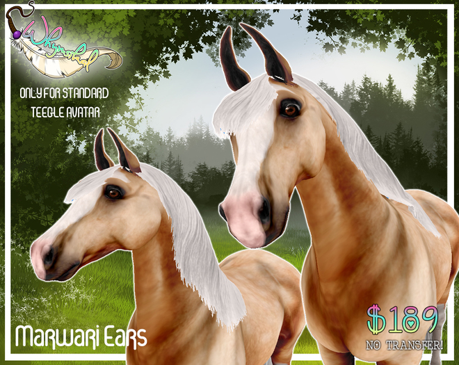 Sodapop - Marwari Ears