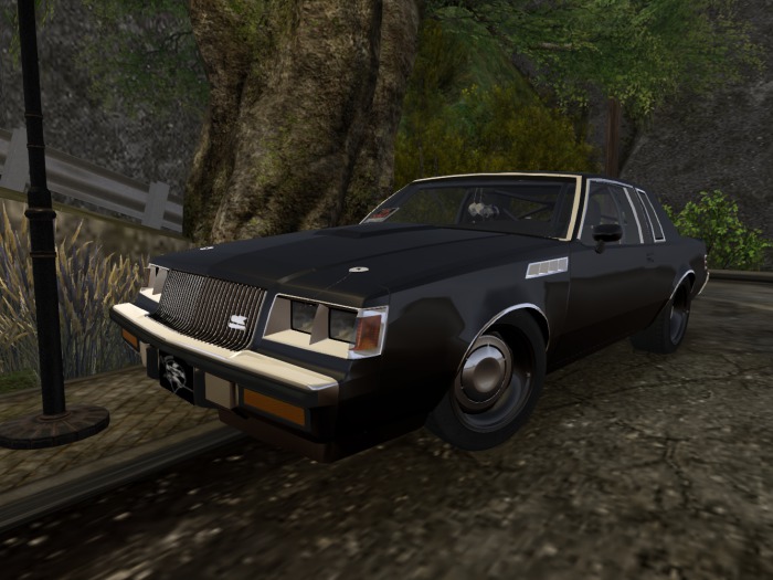 Raccoon Racing - Regalia