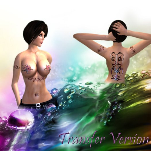 Texturized Colors Top  (Transferable Version)