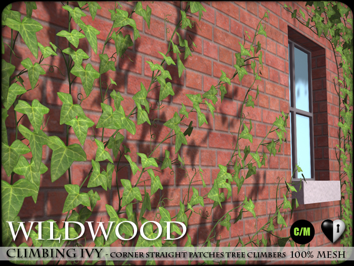 Heart - WildWood - Climbing Ivy