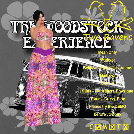 Woodstock Skirt-TopWS3