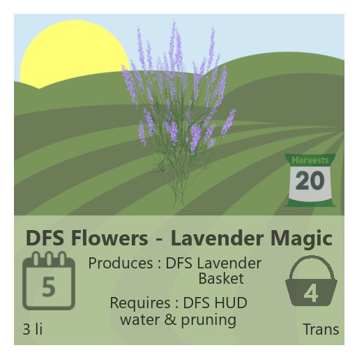 DFS Flowers - Lavender Magic