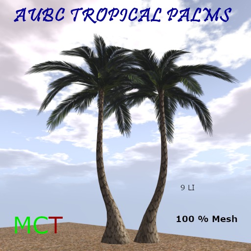 AUBC Tropical Palms/ boxed