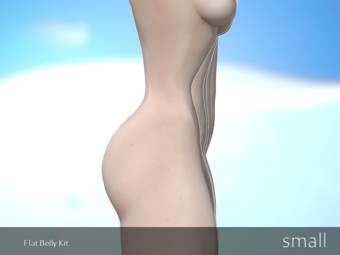 small Flat Belly Kit DEMO