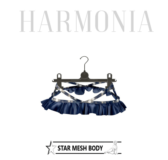 Micro Skirt STAR Mesh Body