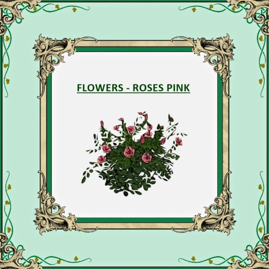 DFS FLOWERS ROSES PINK