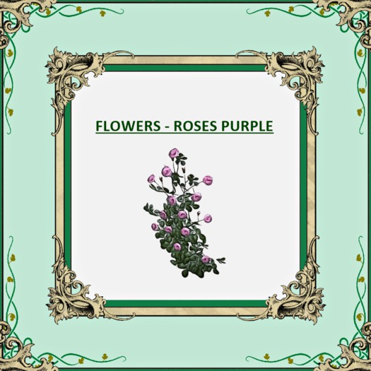 DFS FLOWERS ROSES PURPLE