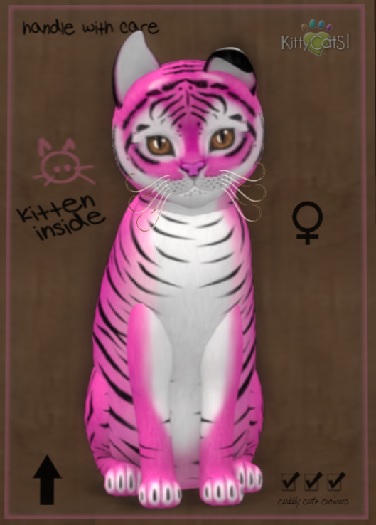 KCB - 9T F Tiger! - BubbleGum Mocha
