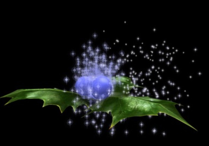 {Papillon} Holly Sprig (Giant)