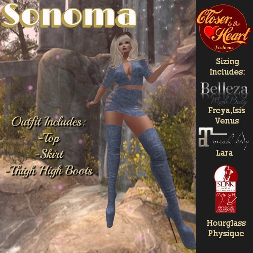 Sonoma  Dress Outfit*