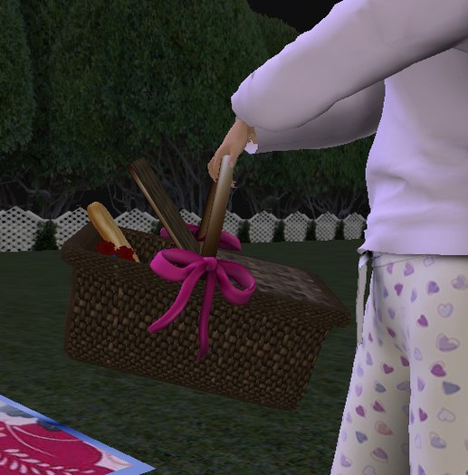 JOY: Picnic Basket