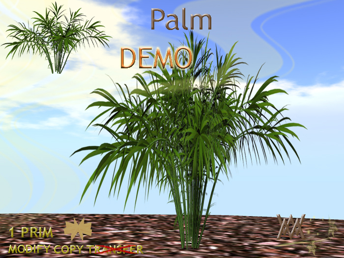 Tree. Palm by Wild Motley DEMO