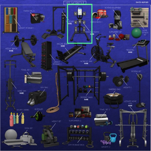 -David Heather-Training Dummy RARE