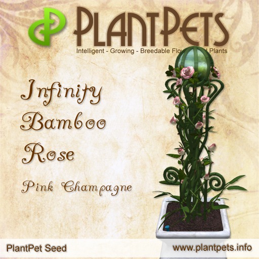PlantPet Seed [Infinity Bamboo Rose *Pink Champagne*] COMMON