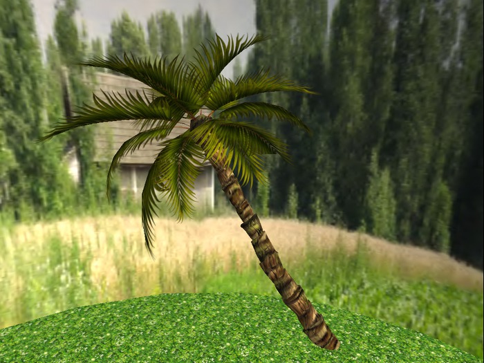 novelty -palm b2 -
