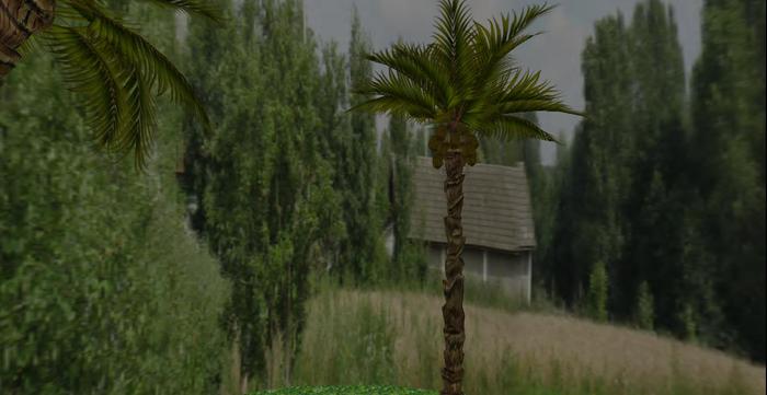 novelty - palm b04 -