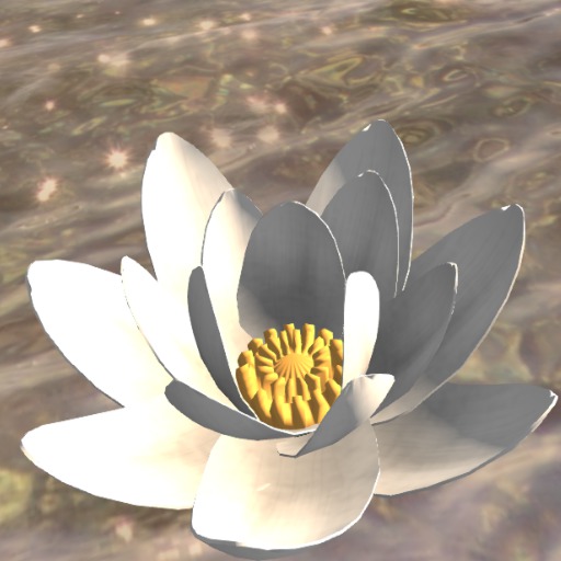 {LSC}- lotus white