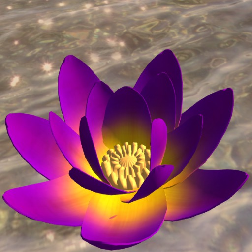 LSC lotus sunset