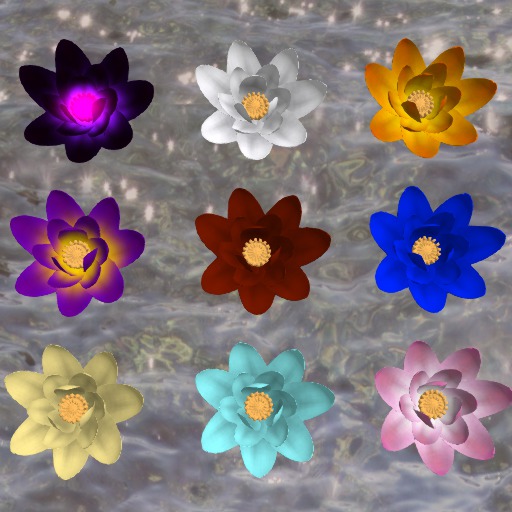 {LSC}- lotus fat pack